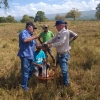 Muestreo geoquímico en la exploración de tierras raras en Sierra Bahoruco