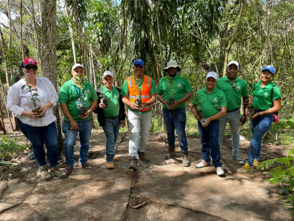 Minería y Reforestación, la apuesta de la industria minera en zonas de operación